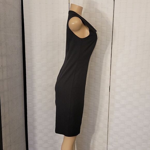 BRAND NEW STEVIE MAC COLOR BLOCKED SLEEVELESS SHEATH DRESS - Picture 4 of 13